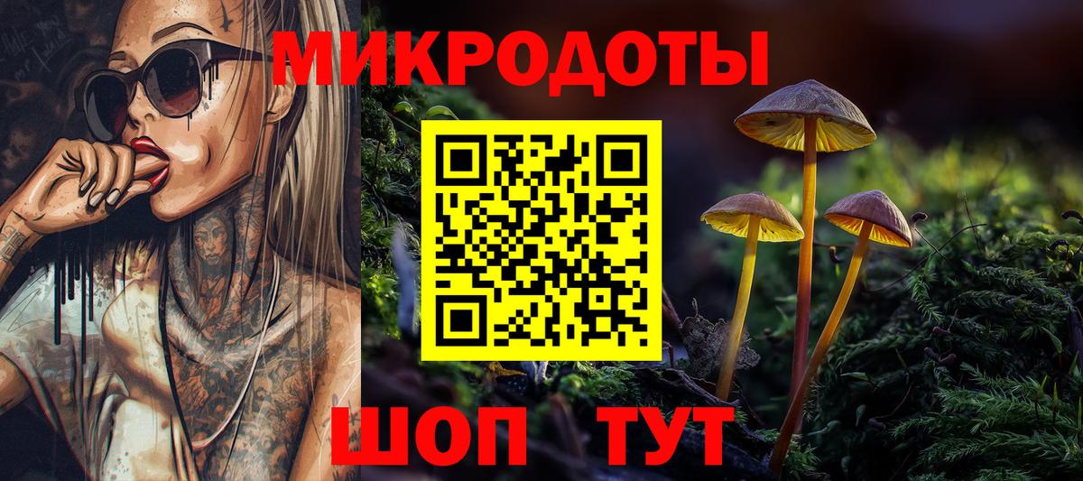Галлюциногенные грибы Psilocybine cubensis Еманжелинск