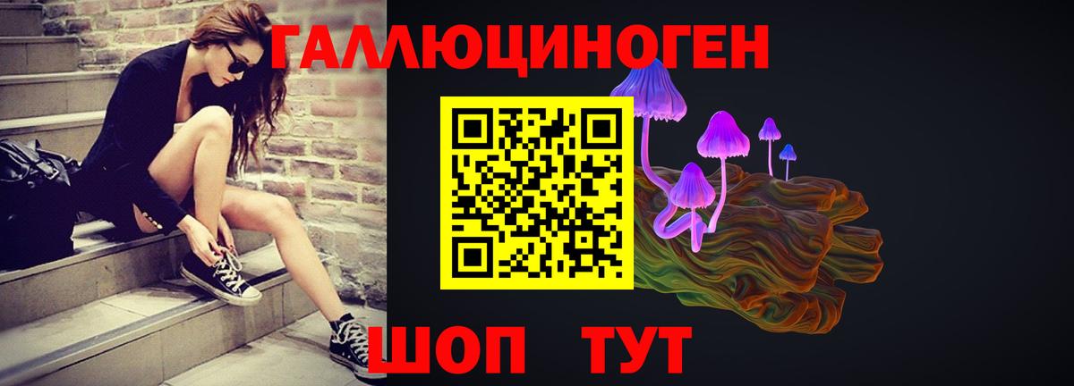 Галлюциногенные грибы Psilocybine cubensis  Вход с VPN  Еманжелинск 